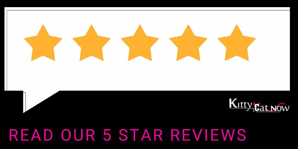 Kitty Cat Now Chicago Reviews