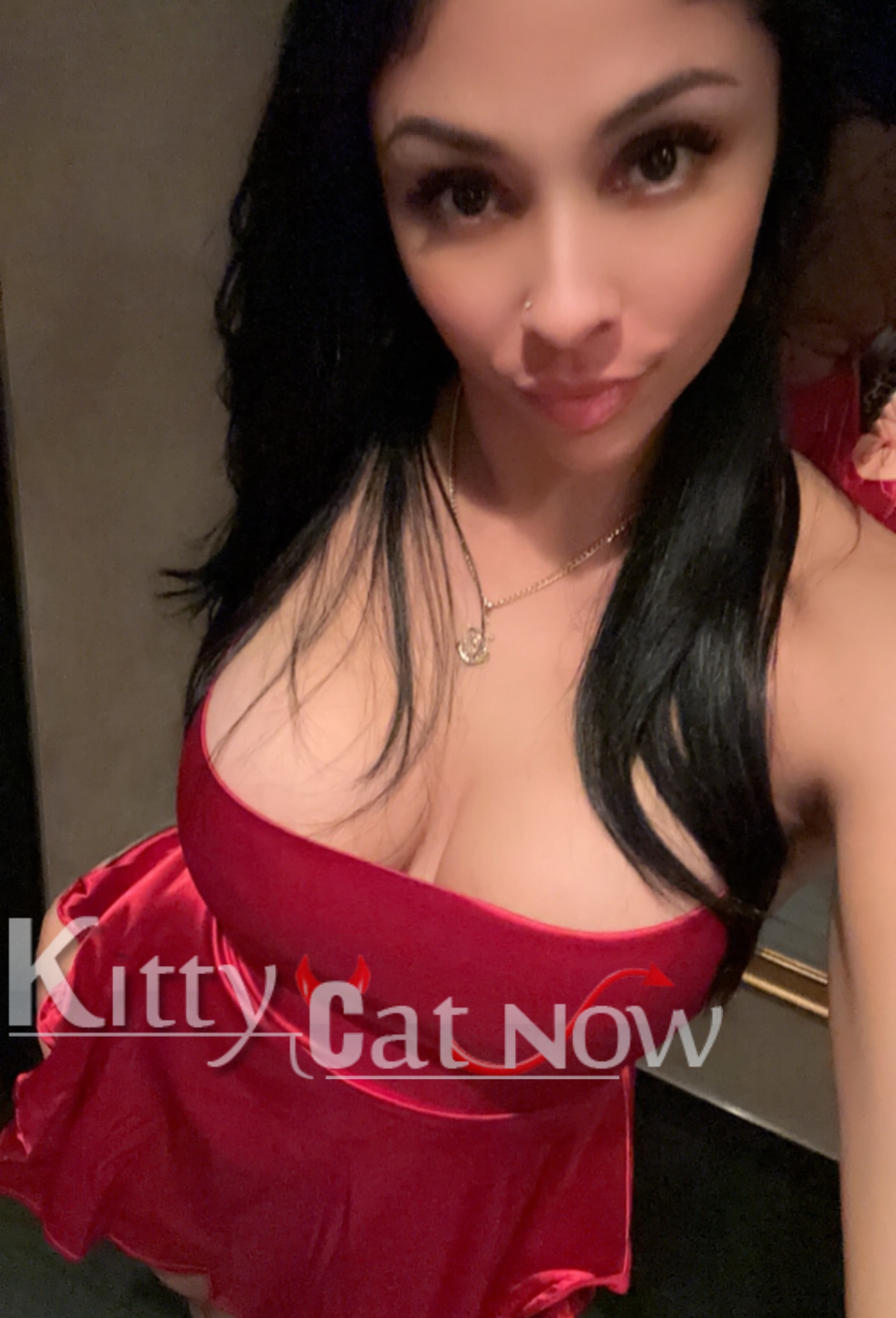 Kitty Cat Now Chicago-Lana
