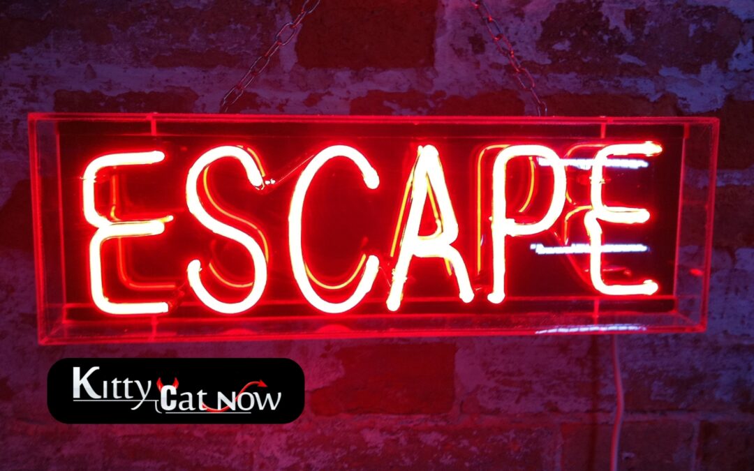 Escape the Ordinary: How to Throw a Bachelor Party He’ll Never Forget in Chicago