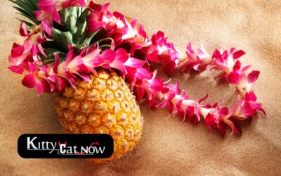 Top 5 Summer Party Themes with Strippers In Chicago
