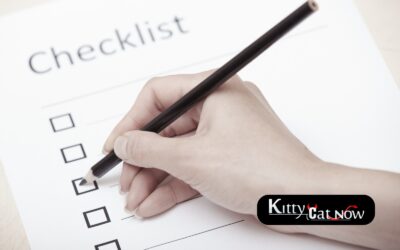 Chicago Bachelor Party Planning Checklist: Fall Edition