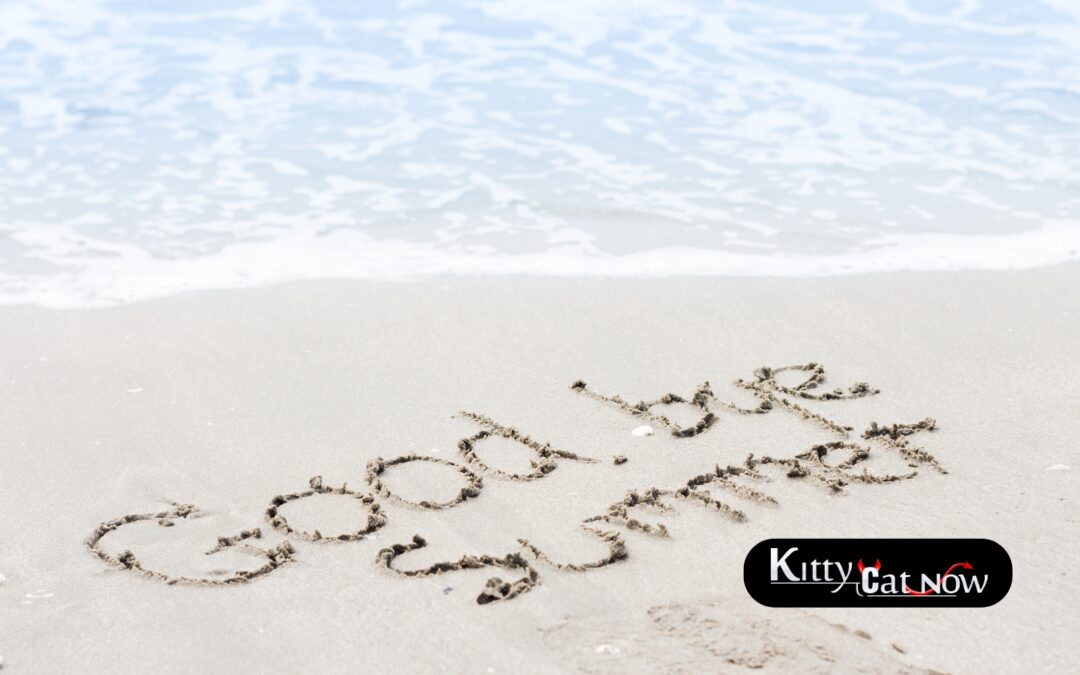 Book Strippers for the Ultimate End of Summer