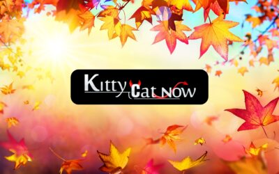 Why Fall Is the Best Season for Bachelor & Bachelorette Parties in Chicago