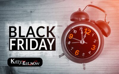 Black Friday Party Ideas: Celebrate Big with Exotic Dancers in Chicago