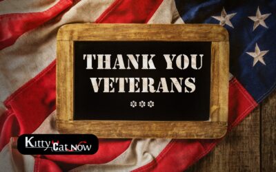 Veterans Day Ideas: Private Entertainers Bring the Party to You in Chicago