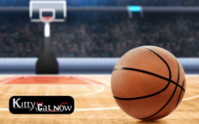 March Madness Watch Party Ideas with Strippers in Chicago