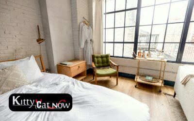 Planning a Private Airbnb Party with Strippers in Chicago