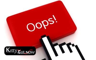 Top Mistakes to Avoid When Booking Strippers in Chicago