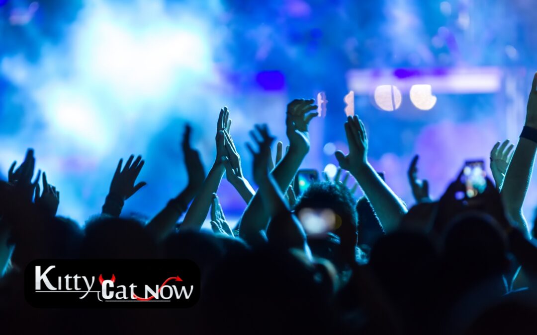 Why Booking Strippers from an Agency Is Safer Than Independents in Chicago