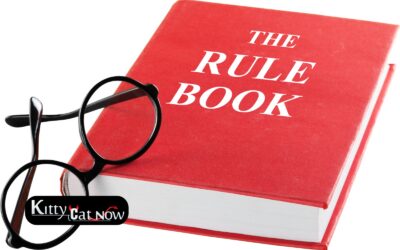 Bachelor Party House Rules in Chicago Before the Strippers Arrive