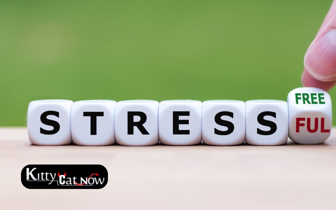 Hosting Private Party Entertainment at Home in Chicago: A Stress-Free Guide