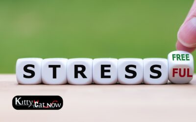 Hosting Private Party Entertainment at Home in Chicago: A Stress-Free Guide