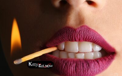 How Far in Advance Should You Book Strippers in Chicago?