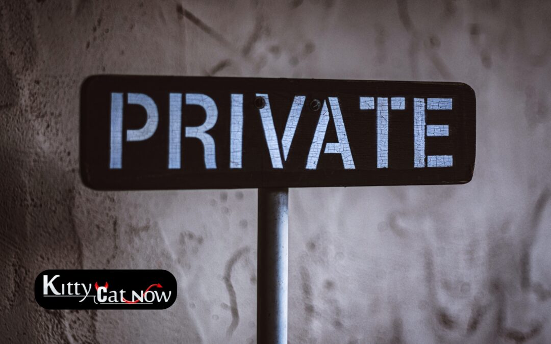 Why Private Party Entertainment Beats the Club Scene in Chicago