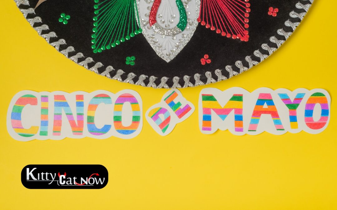 Cinco de Mayo Party Ideas in Chicago: Tacos, Tequila & Private Strippers
