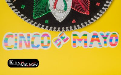 Cinco de Mayo Party Ideas in Chicago: Tacos, Tequila & Private Strippers