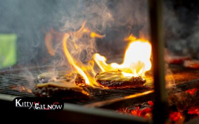 Memorial Day Party Ideas in Chicago: BBQ, Private Entertainment & VIP Vibes