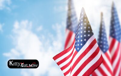 Memorial Day Party Ideas in Chicago with Strippers