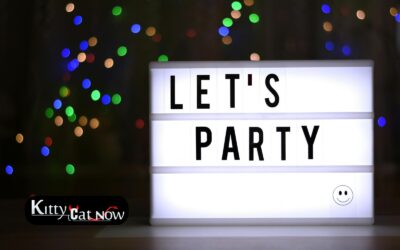 Ultimate Summer Bachelor Party in Chicago with Strippers