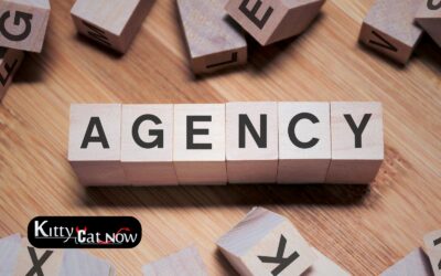 How to Choose a Legit Stripper Agency in Chicago
