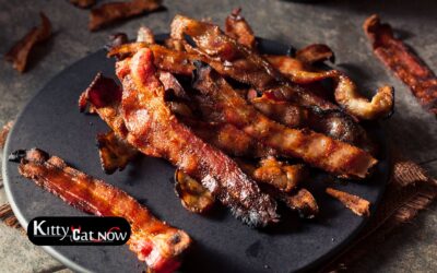 Boobs & Bacon in Chicago: The Ultimate Sunday Morning Bachelor Party Experience