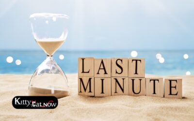 Last-Minute Bachelor Partying Chicago: Booking Entertainment on Short Notice