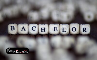 Airbnb Bachelor Party Ideas in Chicago: How to Create the Ultimate Private Party Weekend