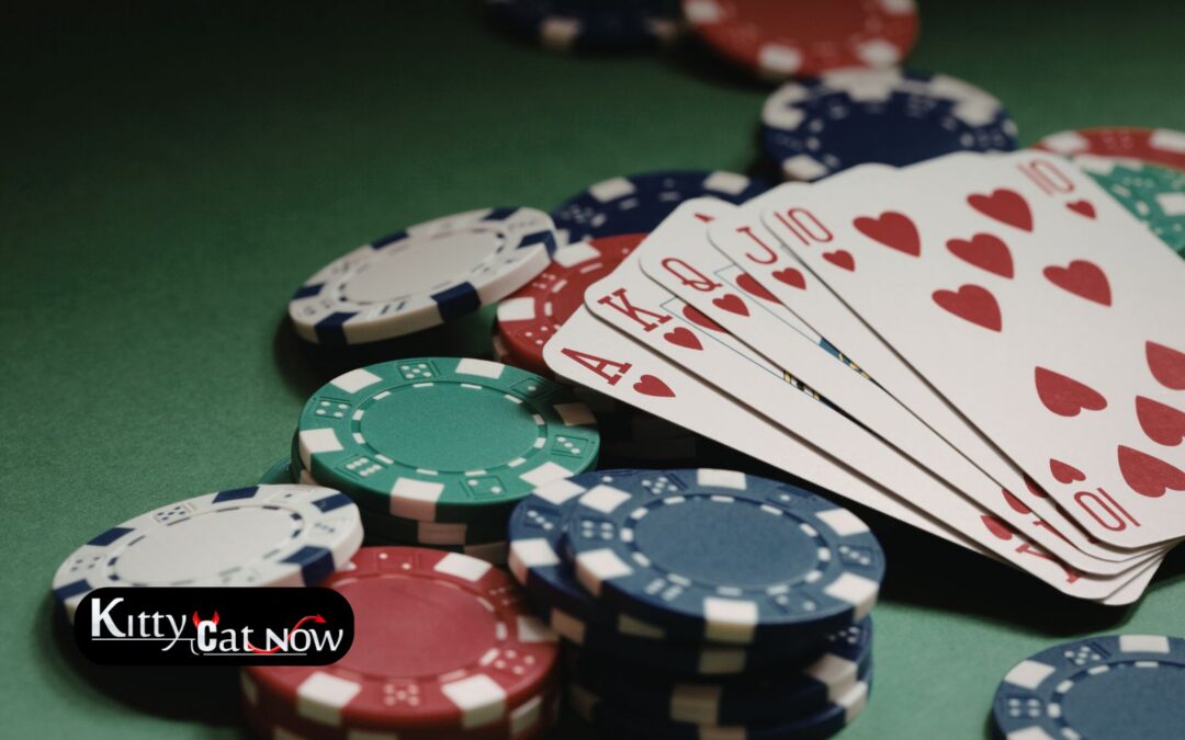 Poker Night Upgrade: Private Entertainment for Your Chicago Home Game