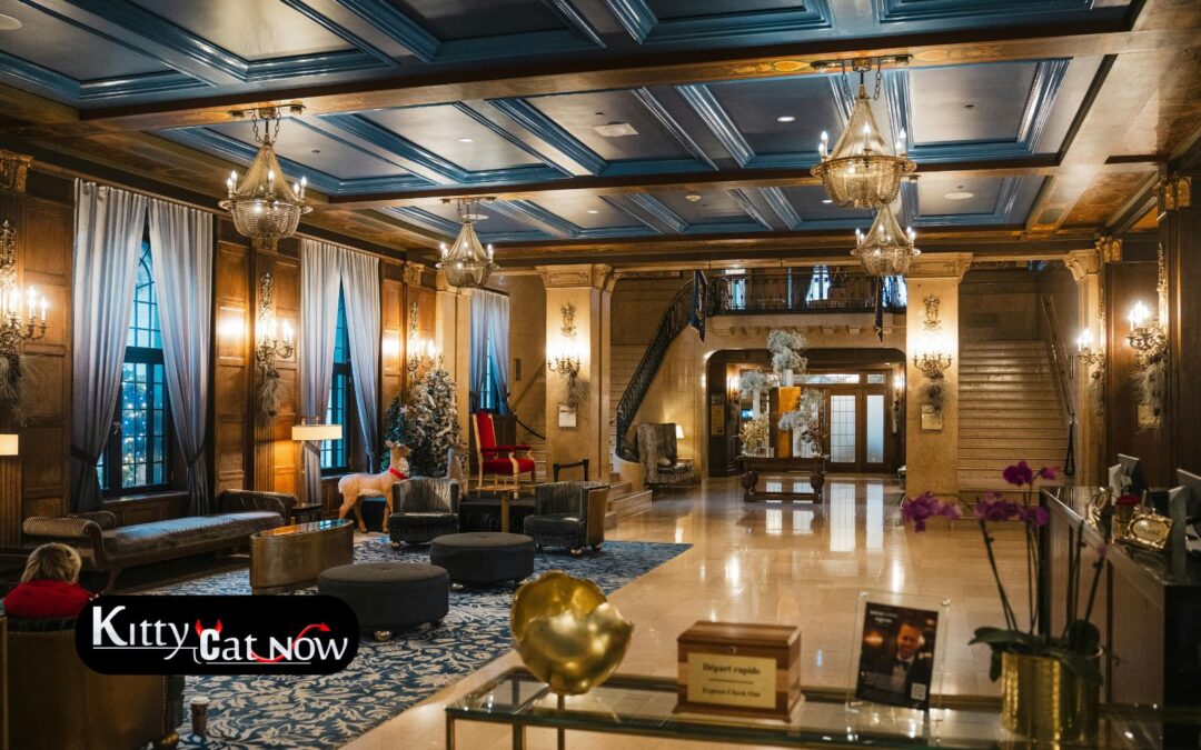 Hotel Suite vs. House Rental: Where to Host Your Chicago Bachelor Party