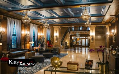 Hotel Suite vs. House Rental: Where to Host Your Chicago Bachelor Party